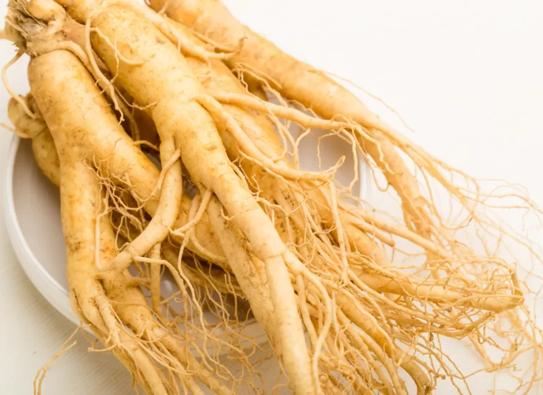 Ginseng